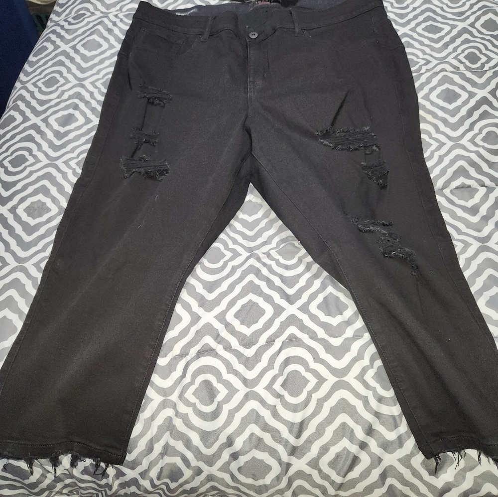 Torrid Jeans